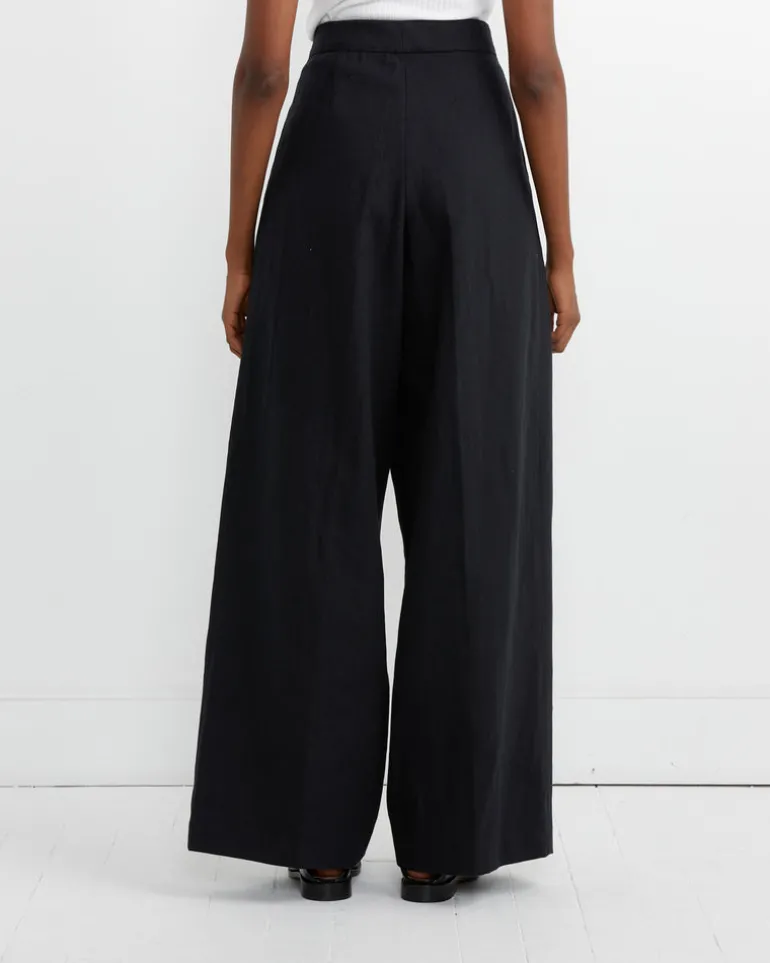 Pleated Wide-Leg Pants in Black