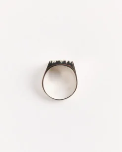 Rose Garden Signet Impression in Silver