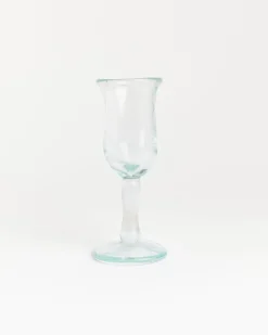 Tulipe in Transparent